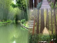 -同里国家湿地公园