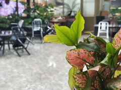 -绿雅居原生态农庄(小涌店)