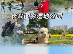 -长兴太湖图影湿地文化园