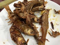 -徐府记羊肉馆
