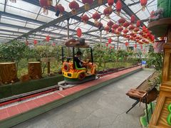 -南宫五洲植物乐园