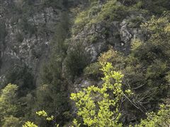 -皇藏峪国家森林公园