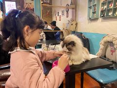 -猫小院猫主题咖啡厅(北锣店)