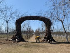 -上海海湾国家森林公园