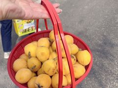 -塘栖枇杷特色园区