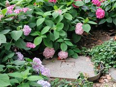 -常州古运河南大街文化旅游区-人民公园