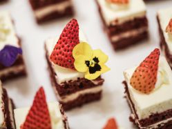 -大连城堡豪华精选酒店·宴会厅