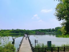 -溱湖国家湿地公园