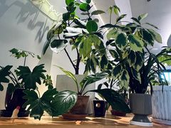 -fishtank鱼缸咖啡(三山街店)