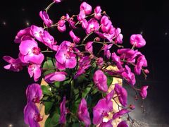 黔蘑菇四季餐厅(观山湖店)-黔蘑菇四季餐厅(观山湖店)