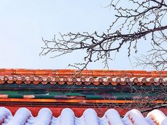 -故宫博物院(故宫)