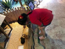 -酷嗒动物文化乐园(cutezoo西溪乐天城店)