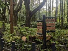 -共青国家森林公园-售票处