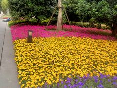 -上海市龙华烈士陵园