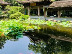 -乾园.魏庐湖景餐厅(花港店)