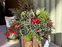 -蝶舍·MAISON PAPILLON