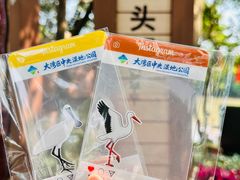 -大湾区中央湿地公园
