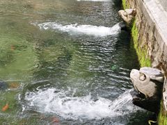 -环城公园