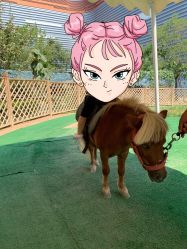 -萌宠亲子动物乐园(槐房万达店)