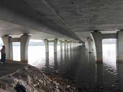 -艾溪湖湿地公园