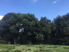 -保利石象湖景区