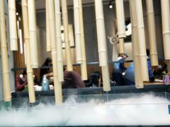-雀舞云南菜(乐客城店)