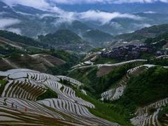 -紫鹊界梯田景区