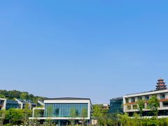 -铁山坪森林公园