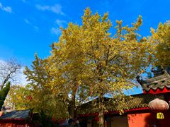 -金堂县云顶石城风景区
