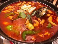 湘味肥肠火锅-湘肠香火锅店(团结湖店)