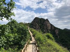 -大岭沟猕猴桃谷风景区
