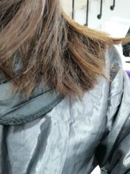 -青禾造型&刺青