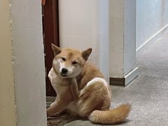 -三目仓咖啡(贤南路店)