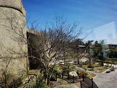 -天然居·漳港海鲜·海景餐厅(南澳总店)