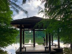 -浙江农林大学(东湖校区)