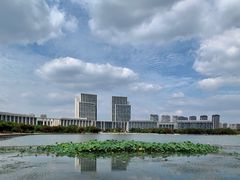 -尚贤河湿地
