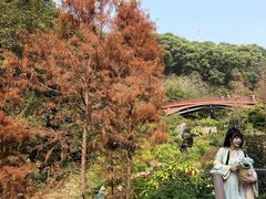 -云溪植物园