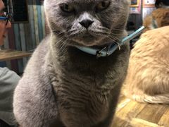 -小时光咖啡馆(开森度假森林店)