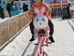 -绿野森林乐园冰雪季