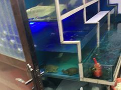 -东康桂家农庄