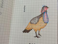 -温州博物馆