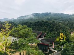 -中铁花水湾温泉酒店(大邑店)