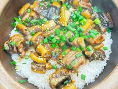-红星光发煲仔饭(文海店)