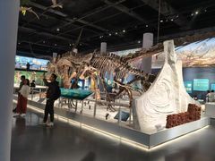 -国家自然博物馆