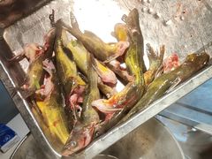 -蜀滋香鲜鱼美蛙火锅(339店)
