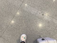 -临沂北站