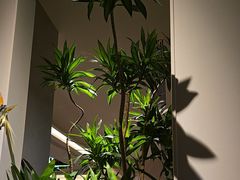 -江南厨子·品苏杭(深圳万象城店)