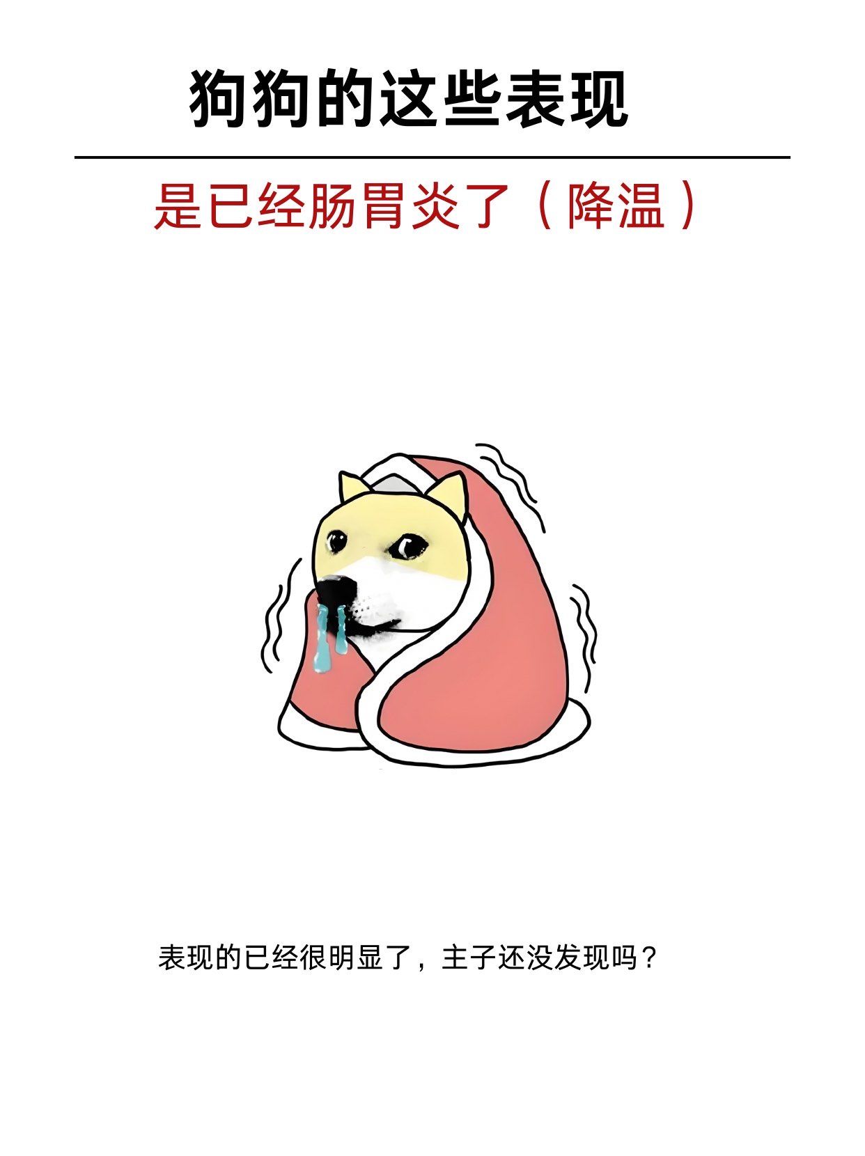 为什么会得肠胃炎