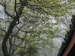 -岳麓山风景名胜区