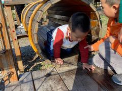 -田园东方蜜桃村的田野营地